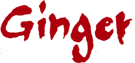 ג'ינג'ר